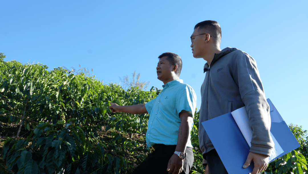 时】一杯咖啡煮出边疆振兴新图景CQ9电子网站【乡村振兴进行