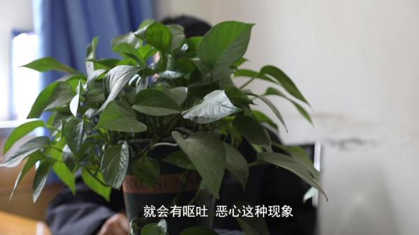 肥咖啡”被查！同款产品却仍在销售CQ9电子网站超千万元有毒“减(图7)